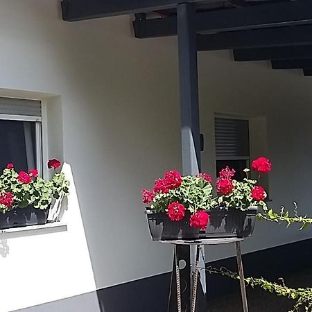 Apartament Apartma Mbm Križevci pri Ljutomeru Zewnętrze zdjęcie