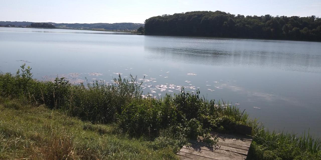 Apartament Apartma Mbm Križevci pri Ljutomeru Zewnętrze zdjęcie
