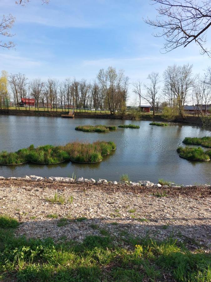 Apartament Apartma Mbm Križevci pri Ljutomeru Zewnętrze zdjęcie